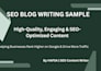 provide SEO blog writing, copywriting and content writing
